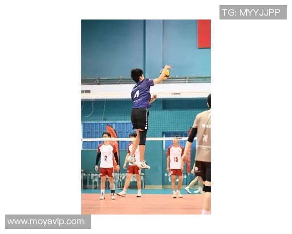 上海排球队在城市联赛中的强势表现与未来发展潜力分析 上海排球队在城市联赛中的强势表现与未来发展潜力分析